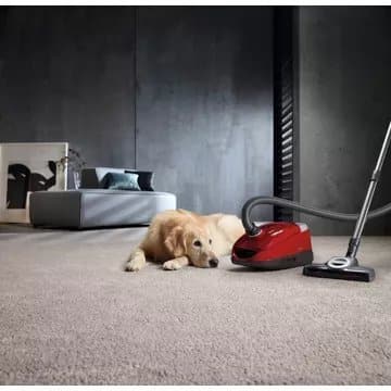 Aspirateur avec sac MIELE Compact C2 Cat & Dog Powerline – Image 6