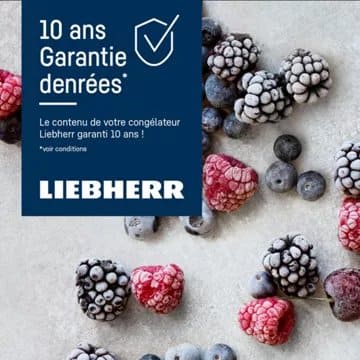 Congélateur armoire LIEBHERR FNd5026-22 – Image 4