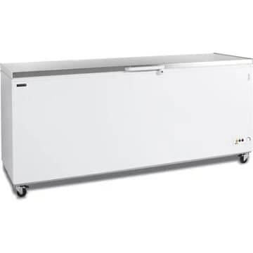 Congélateur pro TEFCOLD 16163