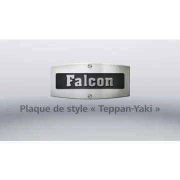 FALCON PROFESSIONAL + FXP 90 DF ROUGE AIRELLE – Image 19