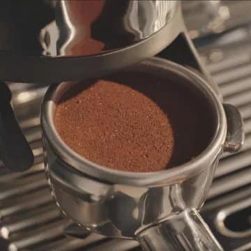 Expresso avec broyeur intégré SAGE APPLIANCES – Image 2
